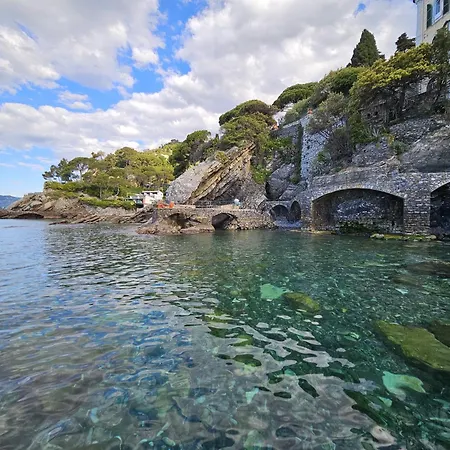 La Stella Sulle Terrazze * Zoagli